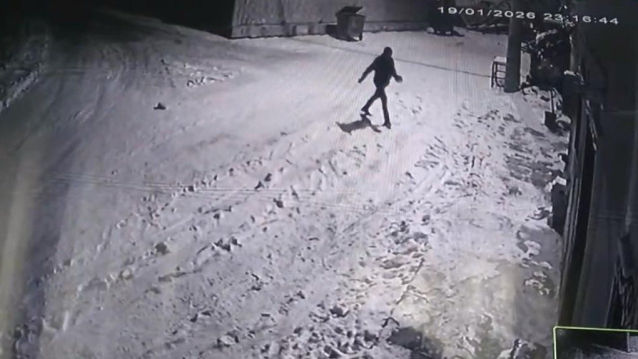 Bahçesine giren kurtları çaydanlıktaki sıcak suyla kovaladı