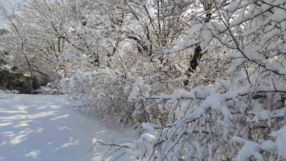 Batman’da kar manzaraları