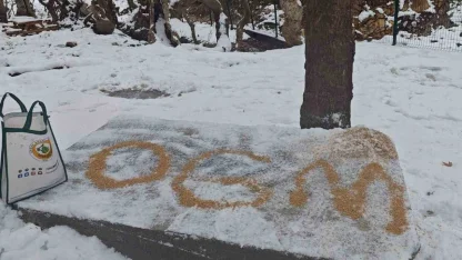 Batman’da yaban hayatı unutulmadı