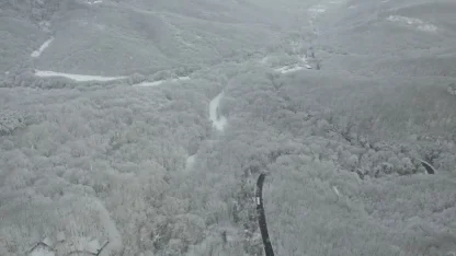 Beyaz örtüyle kaplanan Sarıyer havadan görüntülendi