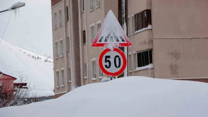 Bitlis kara gömüldü: 294 köy yolu ulaşıma kapandı