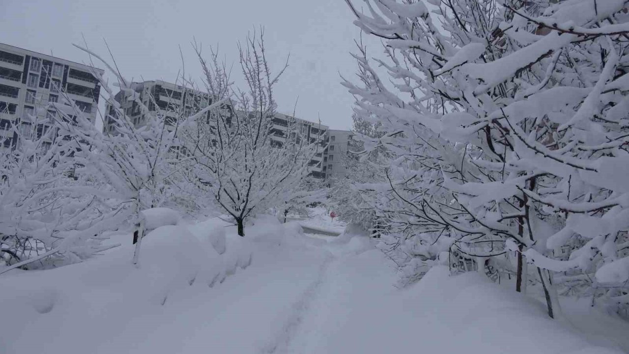 Bitlis’te kar esareti, 229 köy yolu ulaşıma kapalı