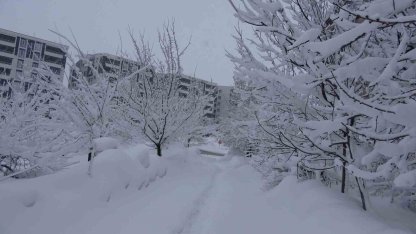 Bitlis’te kar esareti, 229 köy yolu ulaşıma kapalı