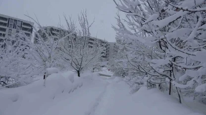 Bitlis’te kar esareti, 229 köy yolu ulaşıma kapalı