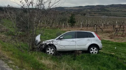 Buldan’da aynı yolda ikinci kaza, otomobil üzüm bağına uçtu