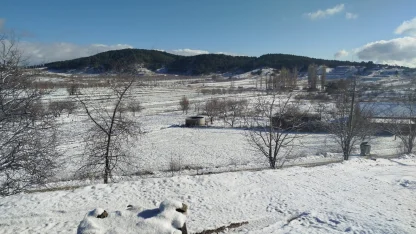 Buldan’da yılın ilk karı üreticileri sevindirdi