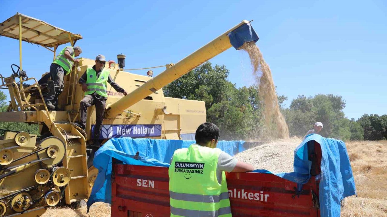 Bursa Büyükşehir, üreticiye nefes oluyor