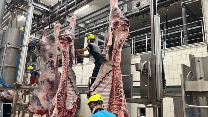 Büyükşehir mezbahasında 6 bin 29 kesim yapıldı