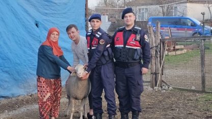 Çanakkale’de kaybolan 24 küçükbaş hayvan jandarma tarafından bulundu