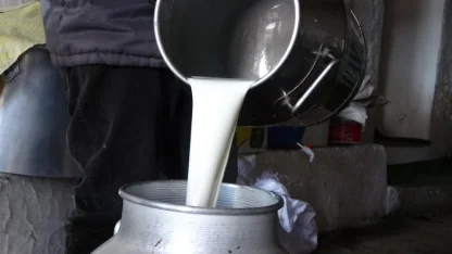 Çiğ süt fiyatları belli