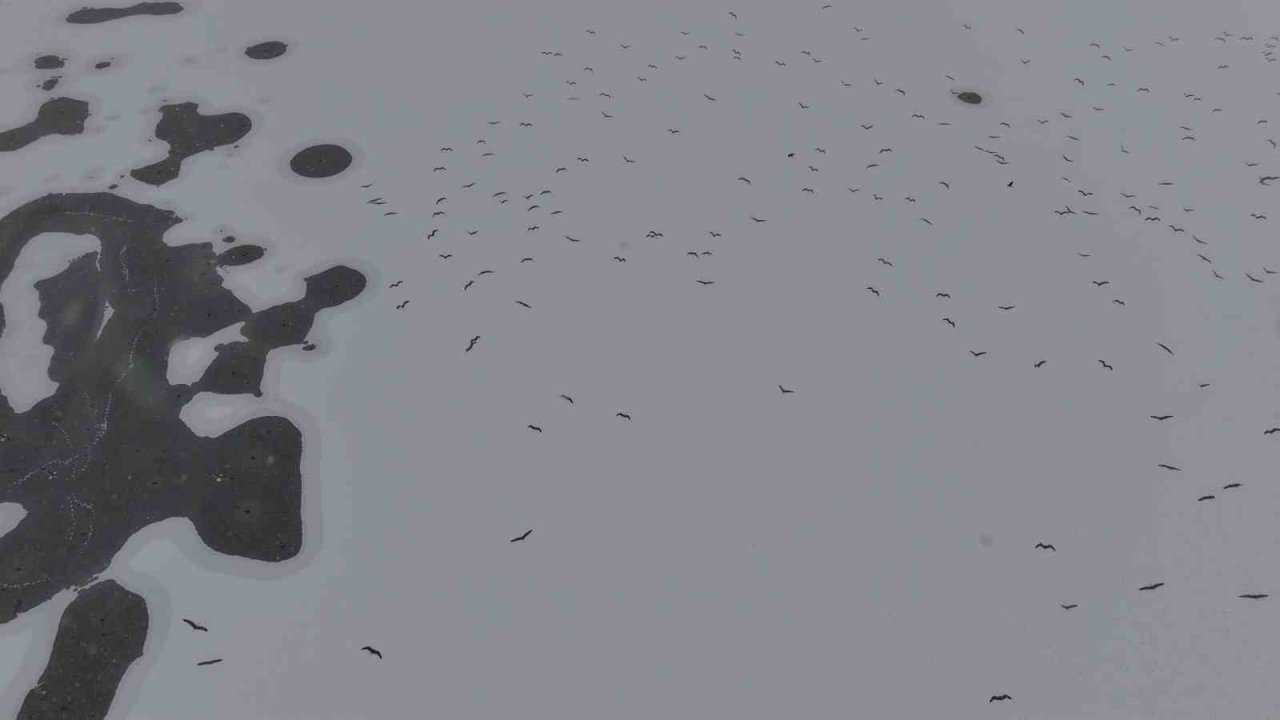 Cip Baraj Gölü buz tuttu