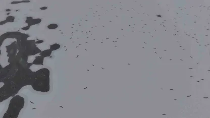 Cip Baraj Gölü buz tuttu