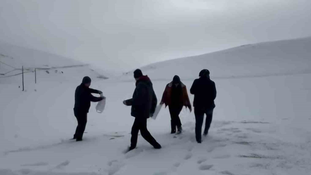 Darende’de öğretmen ve öğrencilerden yaban hayvanlarını unutmadı