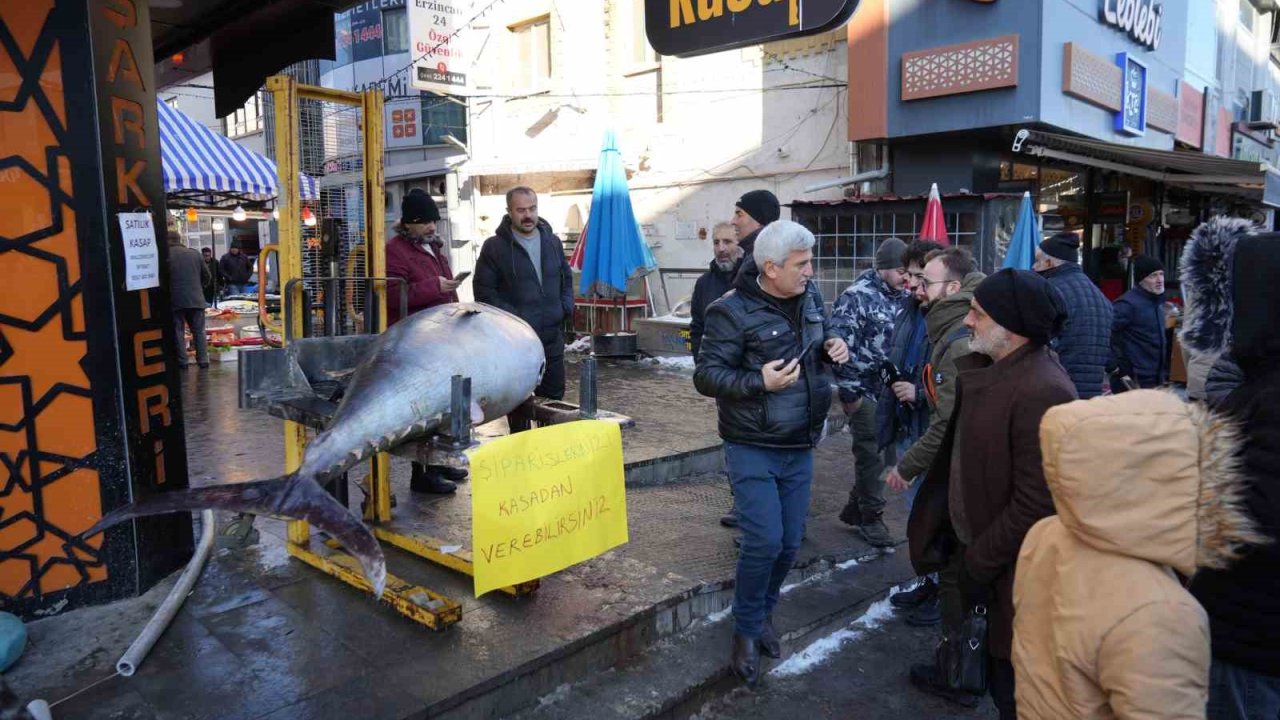 Dev Orkinos Erzincan’da olay oldu! Tezgâh önünde fotoğraf yarışı