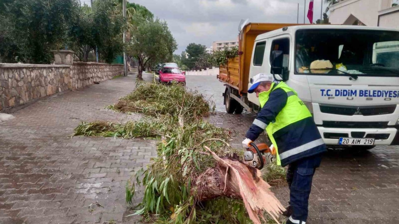 Didim Belediyesi sahada çalışmalarını sürdürüyor