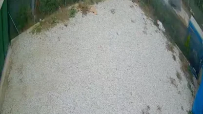 Direksiyon hakimiyetini kaybeden sürücü ölümden böyle döndü