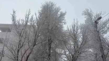 Diyadin’de yoğun sis etkili oldu
