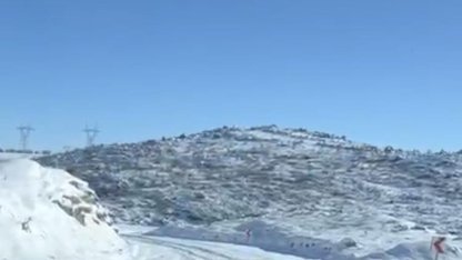 Diyarbakır’da aç kalan kurt ve domuz sürüsü yerleşim yerine indi