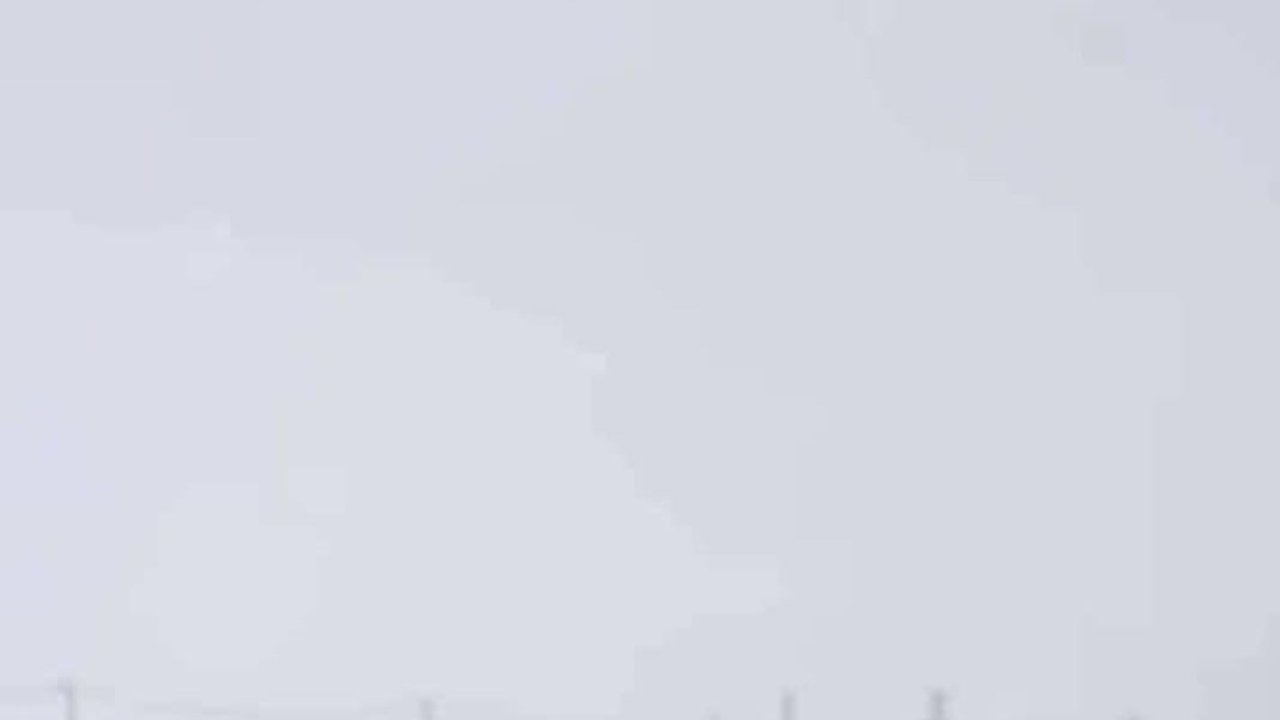 Diyarbakır’da kurtlar yerleşim yerlerine indi