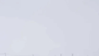 Diyarbakır’da kurtlar yerleşim yerlerine indi