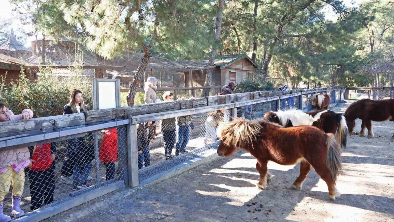 Doğal Yaşam Parkı’nda çocuklara hayvan ve doğa sevgisi aşılanıyor