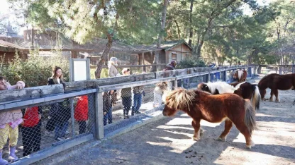 Doğal Yaşam Parkı’nda çocuklara hayvan ve doğa sevgisi aşılanıyor
