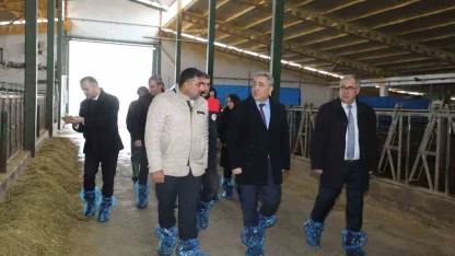 Elazığ’da hayvancılık altyapısı yerinde incelendi
