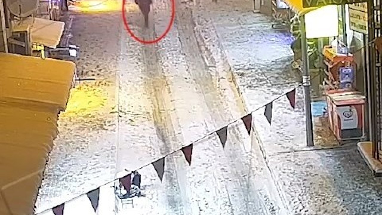 Elazığ’da restoranlara silahlı saldırı: Tutuklu sayısı 6’ya yükseldi