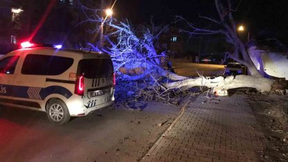Ereğli’de şiddetli rüzgar ağaçları devirdi, çatıları uçurdu