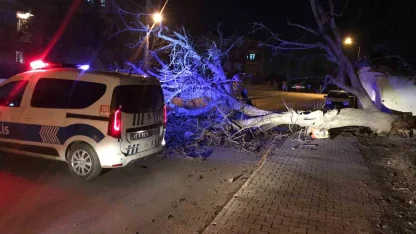 Ereğli’de şiddetli rüzgar ağaçları devirdi, çatıları uçurdu