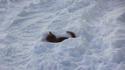 Eski kışlar geri geldi, Kızılırmak’ın yüzeyi kısmen dondu