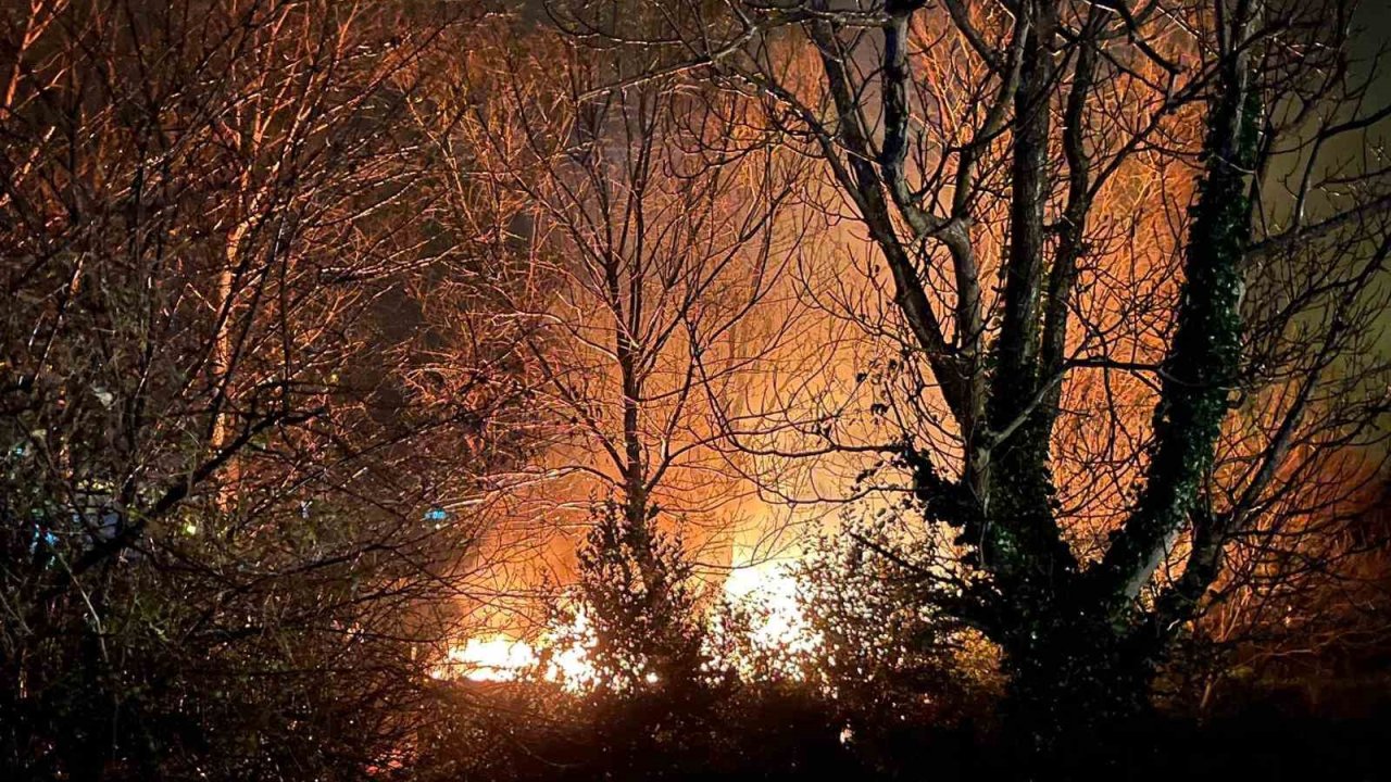 Filyos’ta ağaçlık alanda çıkan yangın korkuttu