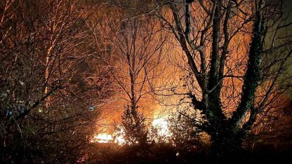 Filyos’ta ağaçlık alanda çıkan yangın korkuttu