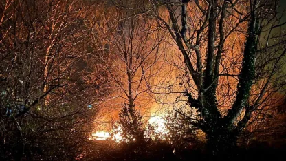 Filyos’ta ağaçlık alanda çıkan yangın korkuttu