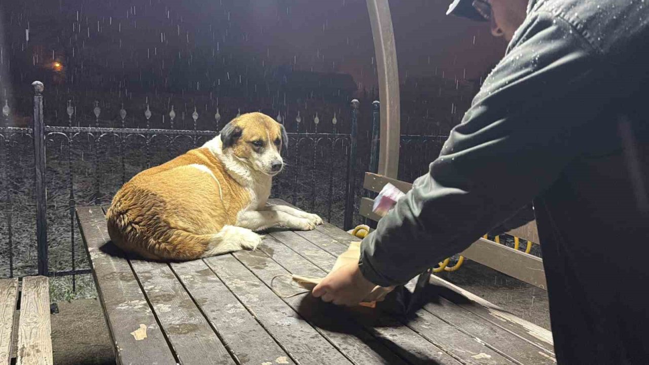 Gazetecilerden duyarlı davranış