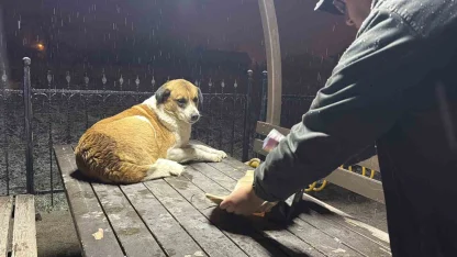 Gazetecilerden duyarlı davranış