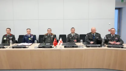 Genelkurmay Başkanı Orgeneral Bayraktaroğlu, Gürcü ve Japon mevkidaşlarıyla görüştü