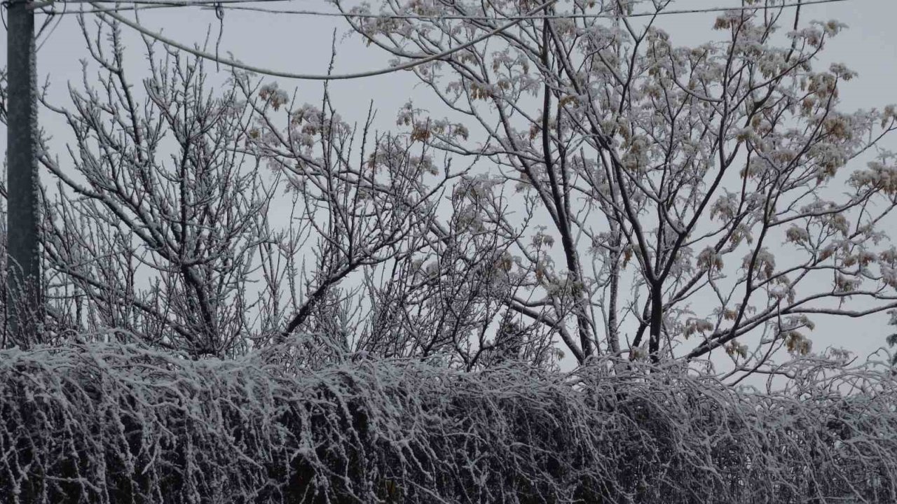 Gercüş beyaz örtüyle kaplandı