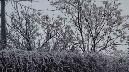 Gercüş beyaz örtüyle kaplandı