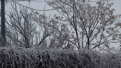 Gercüş beyaz örtüyle kaplandı