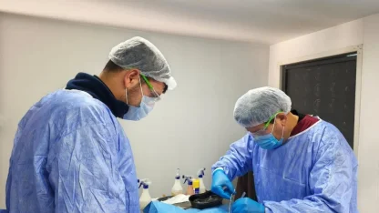 Germencik Belediyesi sokak hayvanları için kısırlaştırma çalışmalarını sürdürüyor