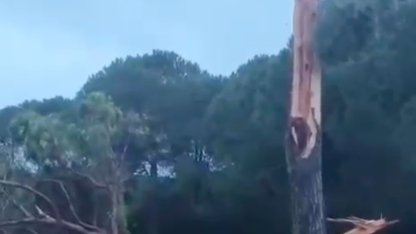 Golf sahasına düşen yıldırım ağacı parçalara ayırdı