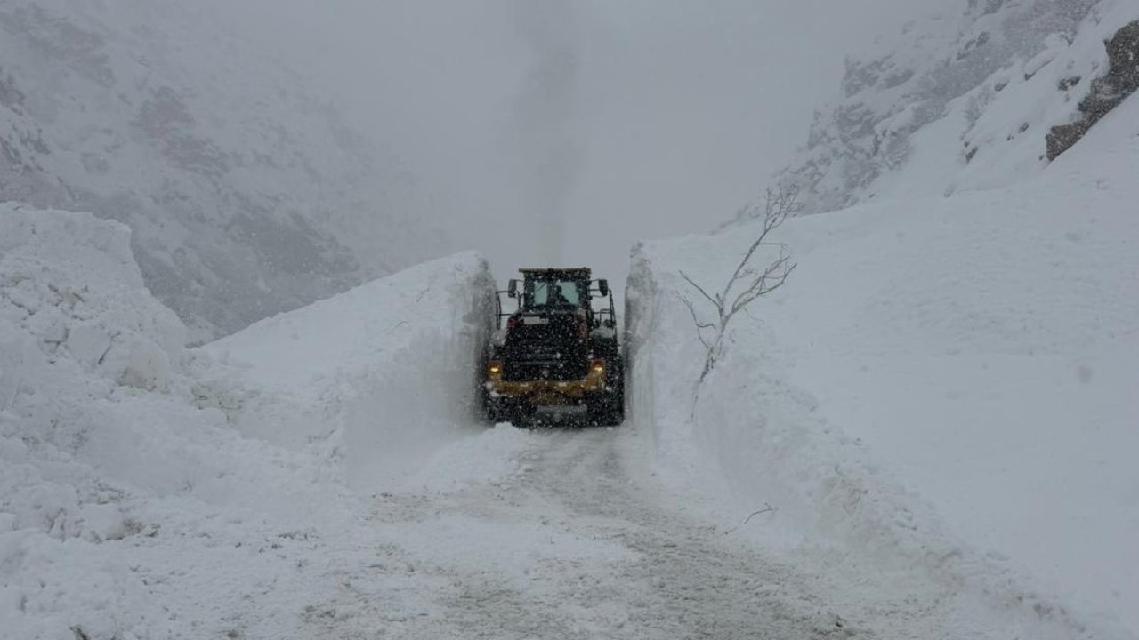 Hakkari-Şırnak kara yoluna çığ düştü