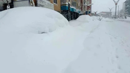 Hakkari’de 357 yerleşim yerinin yolu kapandı