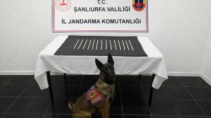 Harran’da uyuşturucu operasyonu: 2 gözaltı