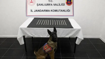 Harran’da uyuşturucu operasyonu: 2 gözaltı