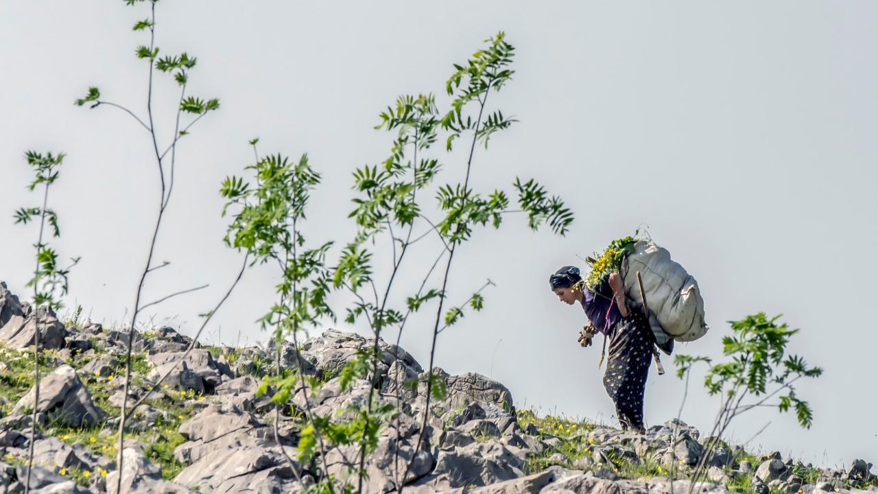 İÇİMİZDEKİ İNSANLIK ÖLÜYOR MU?