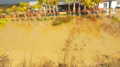 İzmir sağanağa teslim: Yollar ve tarım arazileri sular altında