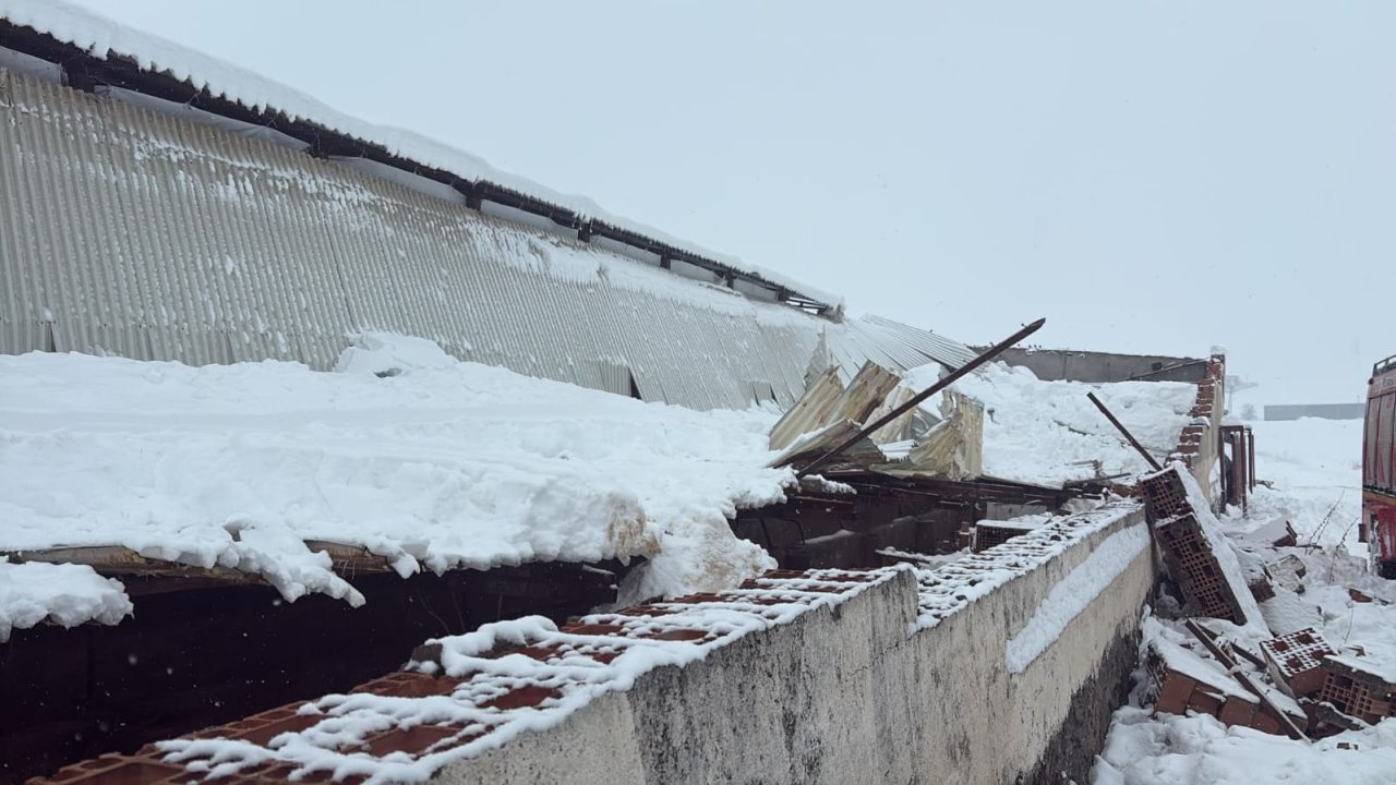 Kar nedeni ile ahırın çatısı çöktü, 11 hayvan telef oldu
