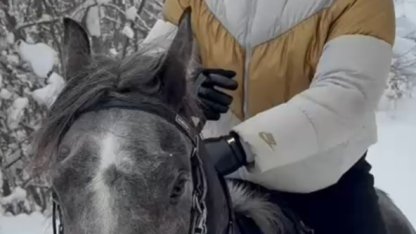 Kar üstünde dört nala at şovu